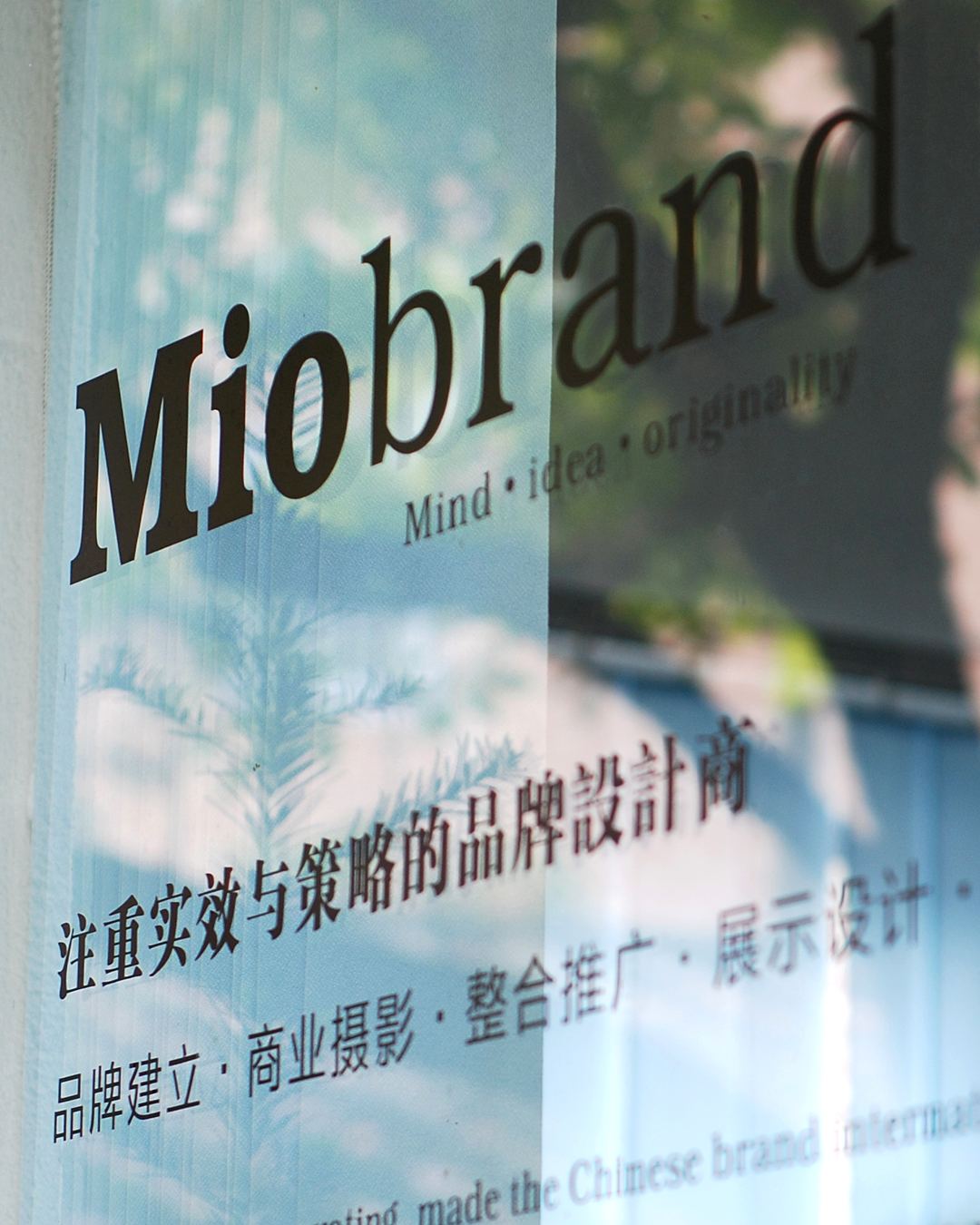 description of the image